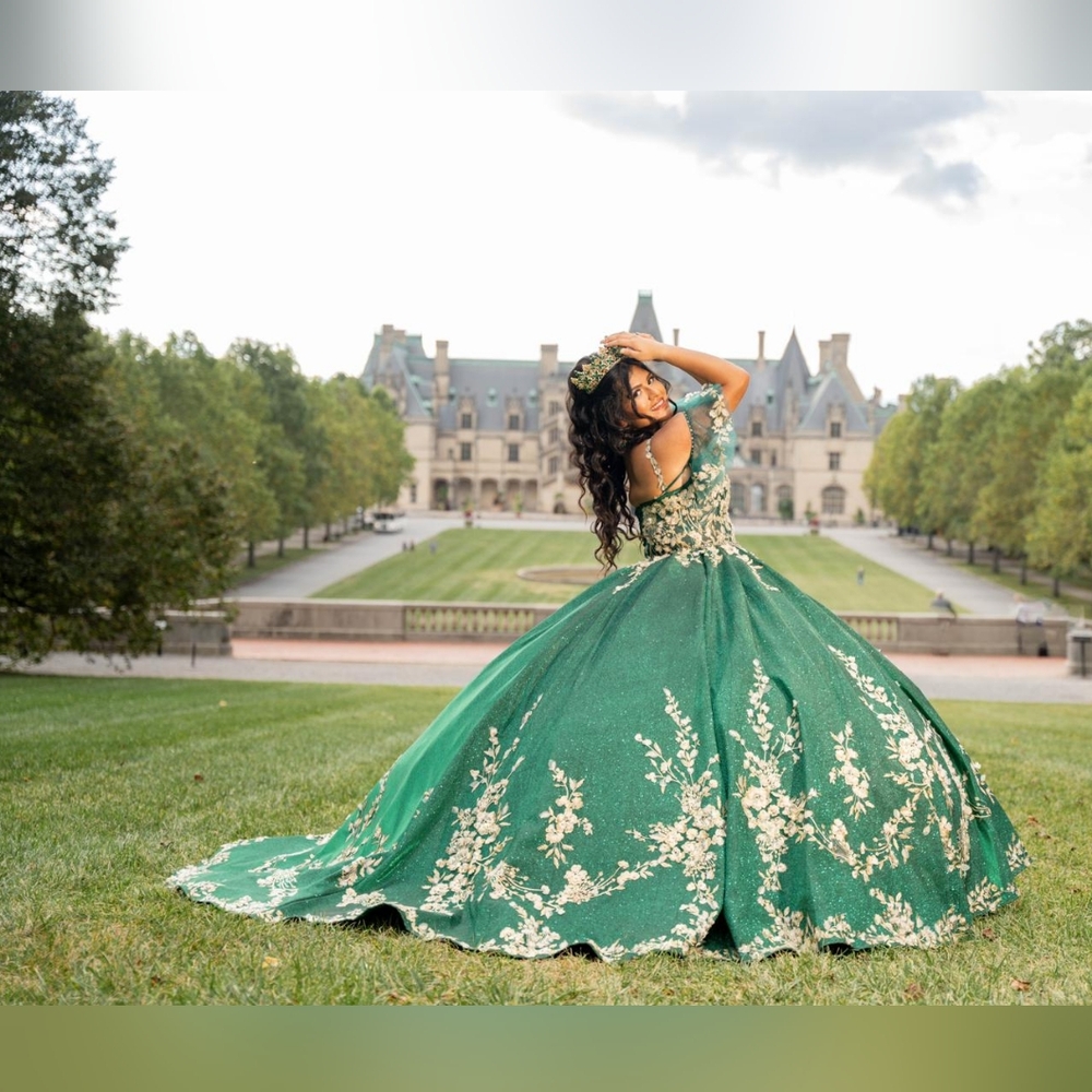 Elegant Green Ball Gown with Gold Floral Accents